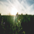 Hoe creëer je een betaalbaar ochtendritueel voor meer energie en focus