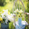 Leuke items om je tuin op te vrolijken